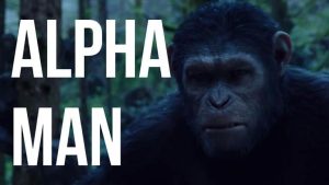 essentie van alpha man zijn